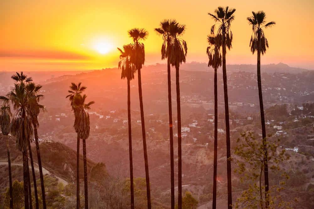 Griffith Park, Los Angeles, California, USA. Griffith Park, Los Angeles, California, USA.
