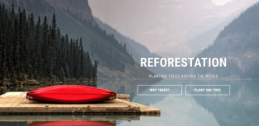 Special Announcement! Partnership with One Tree Planted