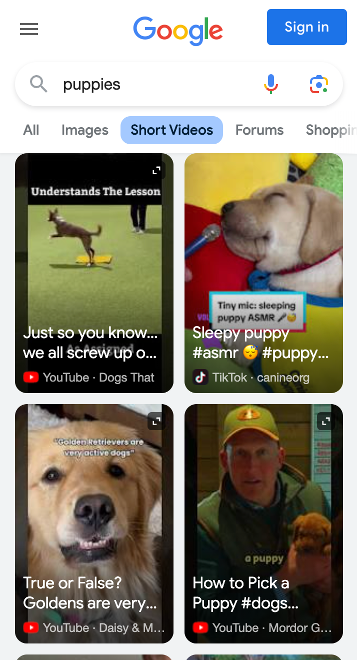 google-short-videos-test-puppies.png